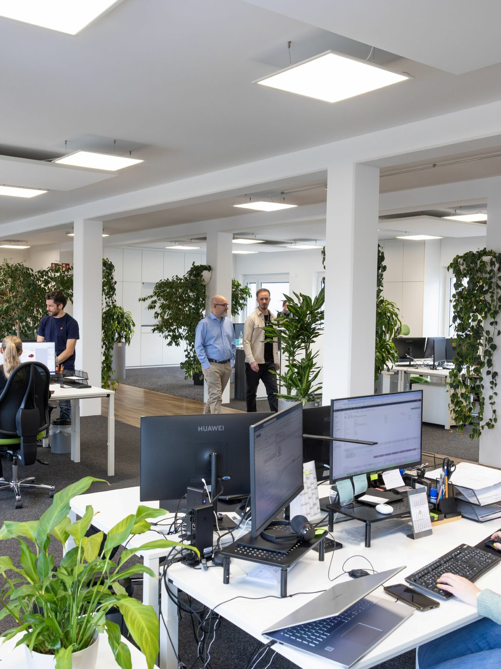 Our beautiful and bright office.